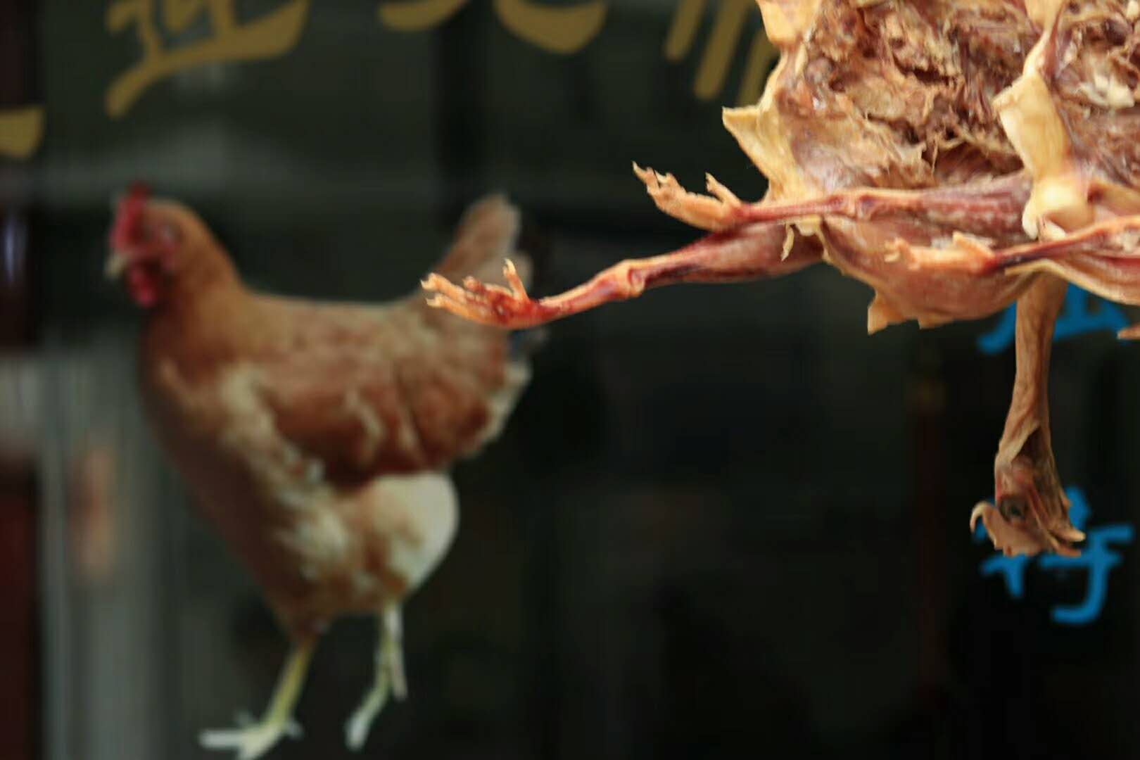 手机摄影作品